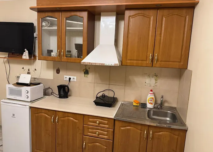 Private Solaris Viru Apartament *